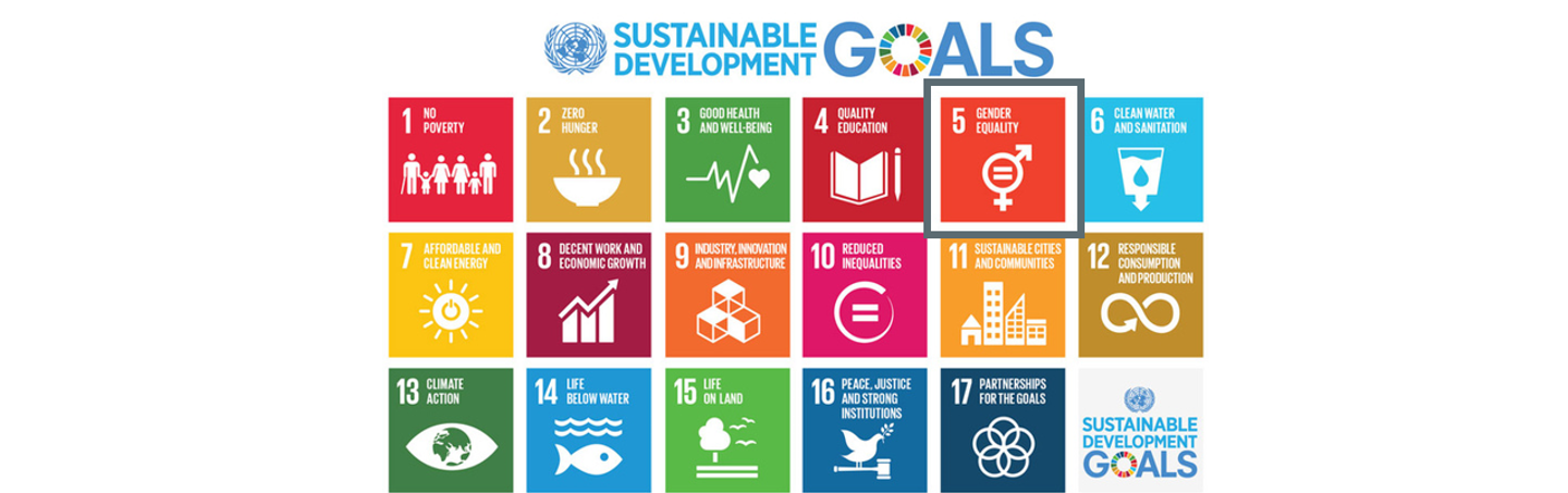 UN Sustainability Goals
